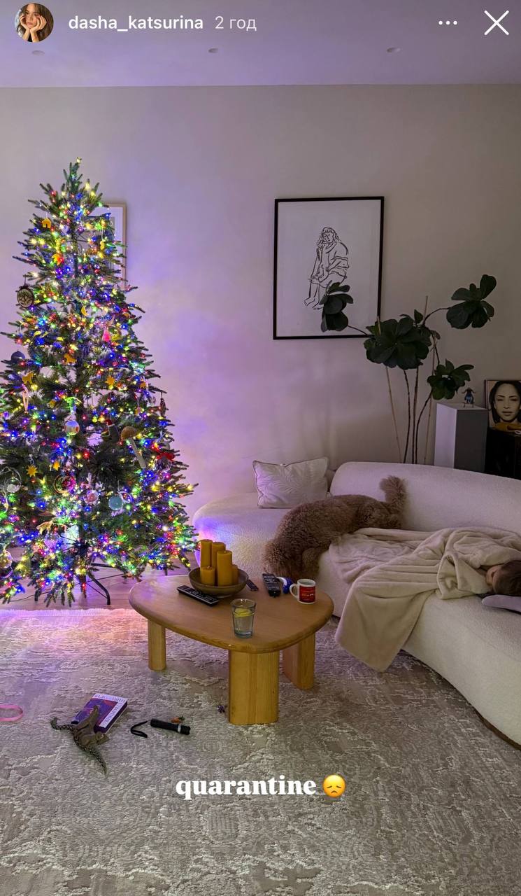 Як Осадча, Тарабарова та інші українські зірки прикрасили свої ялинки до Різдва та Нового року